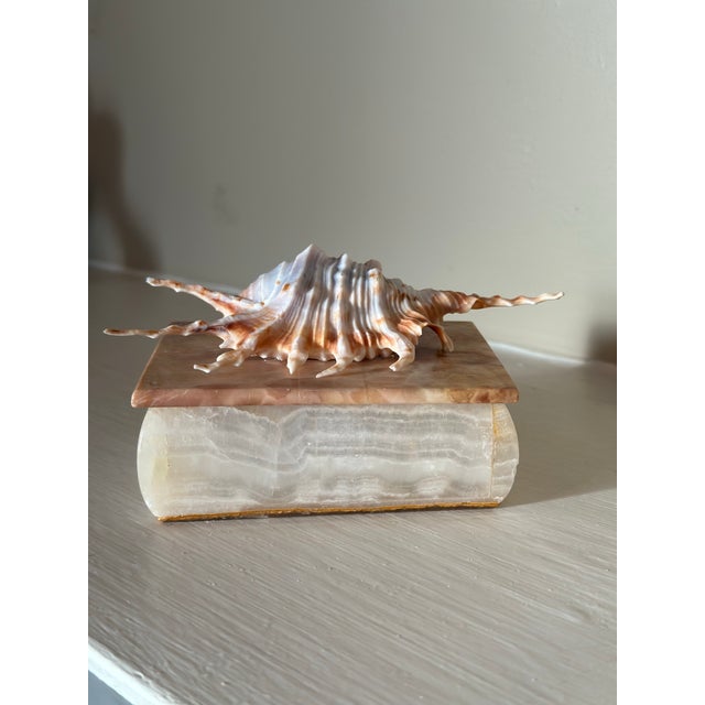 1960s Onyx Stone Box With Shell For Sale - Image 5 of 6