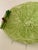 Italian Vintage Italian Cabbage Leaf Asparagus Platter For Sale - Image 3 of 5