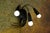 Metal Mid-Century Modern Italian Three-Light Wall Lamp in the style of Stilnovo, 1960s For Sale - Image 7 of 18