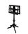 Antique Victorian Ebonized Duet Music Stand in Wood, 1880s For Sale - Image 10 of 10