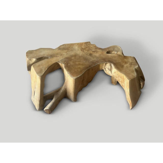 Andrianna Shamaris Live Edge Petrified Wood Coffee Table with Organic Teak Base For Sale - Image 4 of 18