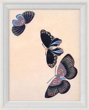 Kono Butterflies 22, Framed Artwork