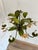 Vintage French Painted Tole 5-Light Water Lily Chandelier, 1960s For Sale - Image 11 of 18