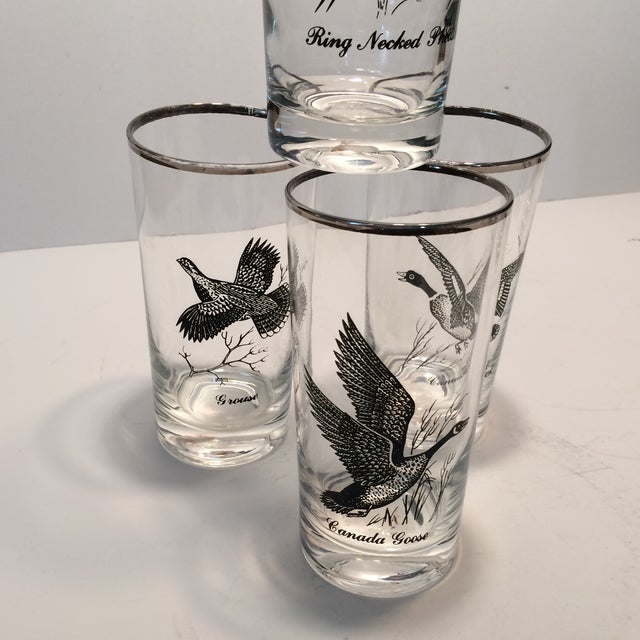 Vintage Silver Rimmed Bird Hunting Glasses Set of 4 Chairish