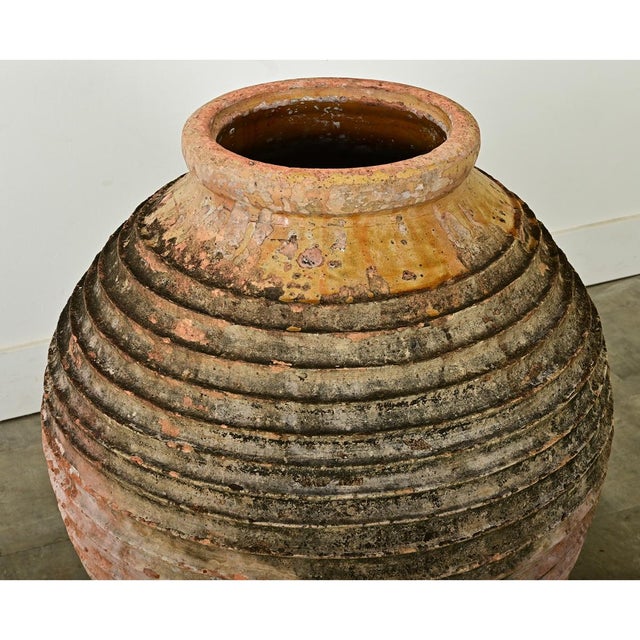 Ceramic Greek 18th Century Terracotta Olive Oil Jar For Sale - Image 7 of 7