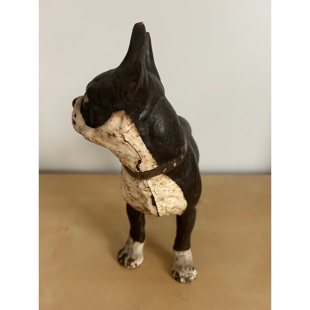 Antique Cast Iron Boston Terrier Painted Doorstop For Sale In Philadelphia - Image 6 of 8