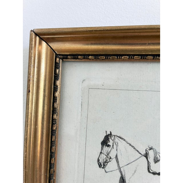 Antique Original Horse Etchings, Circa 1700: Framed Equestrian Prints - a Pair For Sale - Image 12 of 15
