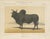 Olivier De Penne, Zebu Bull, Humped Cattle, 1863, Chromolithograph For Sale - Image 9 of 9