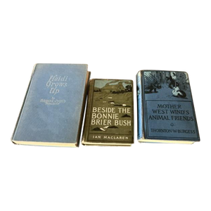 Antique Book Set - Trio of Blue/Green Antique Reads