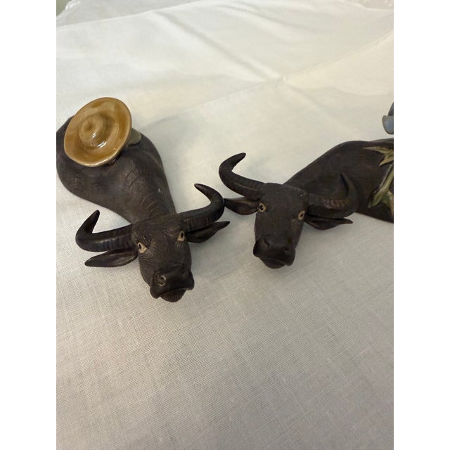 Asian Water Buffalo With Young Boy Riding For Sale In Dallas - Image 6 of 6
