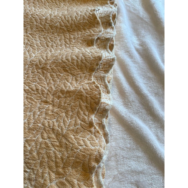 Late 20th Century Portuguese Colchas Domingos Heavyweight Cotton Matelassé Oversized Queen Coverlet | Soft Buttercream For Sale - Image 5 of 13