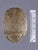 18th Dynasty Ancient Egyptian Carved Diorite Stone Heart Scarab, Circa 1500–1300 Bce For Sale - Image 9 of 18