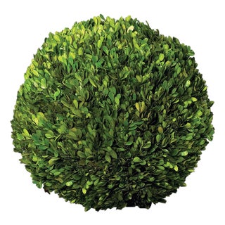 Boxwood Ball 16" For Sale