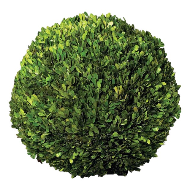 Boxwood Ball 16" For Sale