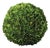 Boxwood Ball 16" For Sale