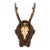 Antique Black Forest Roe Deer Trophy Antler Mount - (#3 of 3 Individual Mounts Listed) For Sale