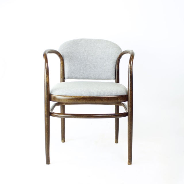 Bentwood Armchair, Czechoslovakia, 1950s For Sale - Image 10 of 11