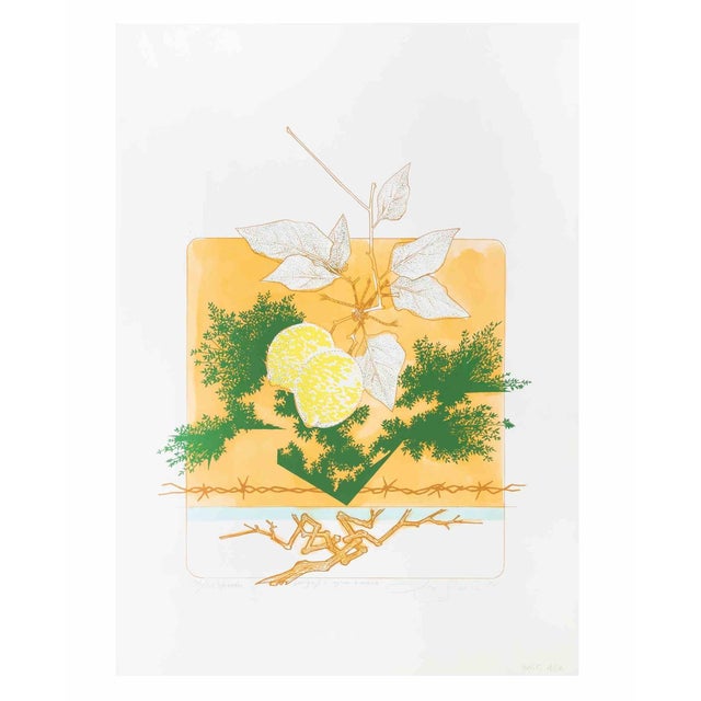 Leo Guida, Still Life, Screen Print, 1976 For Sale