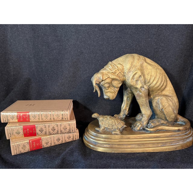 1900s Bronze of Chien À La Tortue, Dog With Tortoise, Depicting a Hound Observing a Turtle, Originally Designed by French Sculptor Alfred Jacquemart For Sale - Image 4 of 10