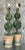 Vintage Regency Topiary Lamps - A Pair For Sale - Image 9 of 11
