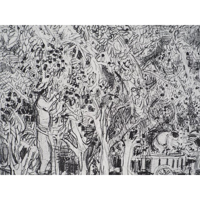 André Cottavoz, Summer Picking in Vallauris, 1976, Original Lithograph For Sale - Image 5 of 10