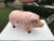 1900 - 1909 Antique This Little PiggyBank Figurine For Sale - Image 5 of 5