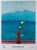 Mount Fuji and Flowers Poster attributed to David Hockney, 2016 For Sale - Image 5 of 5