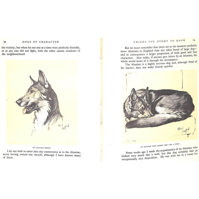1920s "Dogs of Character" Book 1927 Aldin, Cecil For Sale - Image 5 of 12