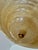 Murano Gold Rugiadoso Glass Semi Flush Mount Ceiling Light For Sale - Image 12 of 17