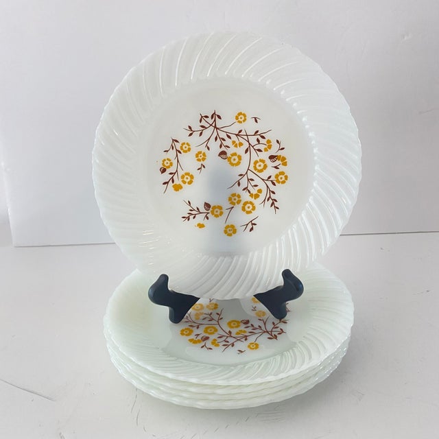 1960s Termocrisa Mexican Milk Glass Dinner Plates Set of 6 Chairish