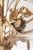 Hollywood Regency Golden 5-Light Rose Chandelier, 1960 For Sale - Image 4 of 16