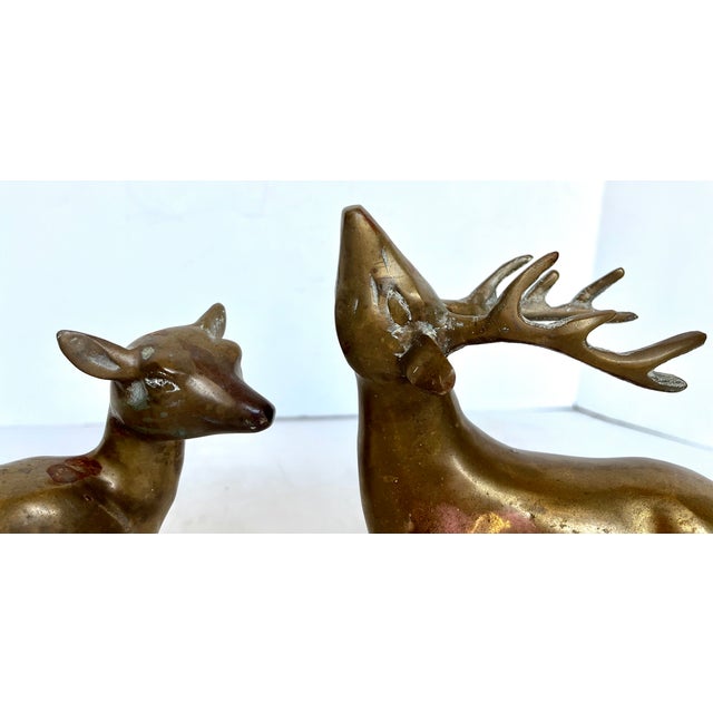 Vintage Brass Deer Figurines - Set of 2 For Sale - Image 9 of 11