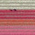 2020s AV_Tulip_Fields_035" Contemporary Aerial View Limited Edition Photograph by Bernhard Lang For Sale - Image 5 of 10