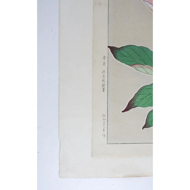 Vintage 1950s Kawarazaki Shodo Pink Peony Woodblock Print For Sale - Image 4 of 7