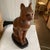 Wood Mid 20th Century Hand Carved Wood Cat From Italy For Sale - Image 7 of 10