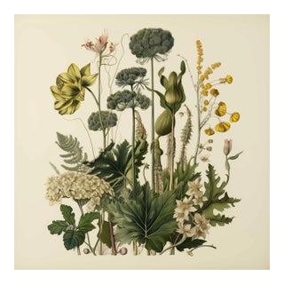 Vintage Botanical Garden Study No. 5 | Botanical Wall Art in Dark Green & Cream For Sale