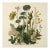 Vintage Botanical Garden Study No. 5 | Botanical Wall Art in Dark Green & Cream For Sale