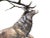 Large Bronze Stag, 20th-Century For Sale - Image 3 of 9