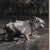 1950s Vintage Photograph, Rural Indonesia, Oriental, Monochrome, Java, Mid Century For Sale - Image 5 of 8