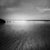 Not Yet Made - Made To Order Paul Cooklin, Hemmick Beach, Cornwall, Edition of 50 For Sale - Image 5 of 5