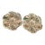 Antique Japanese Satsuma Oyster Plates c.1880’s For Sale