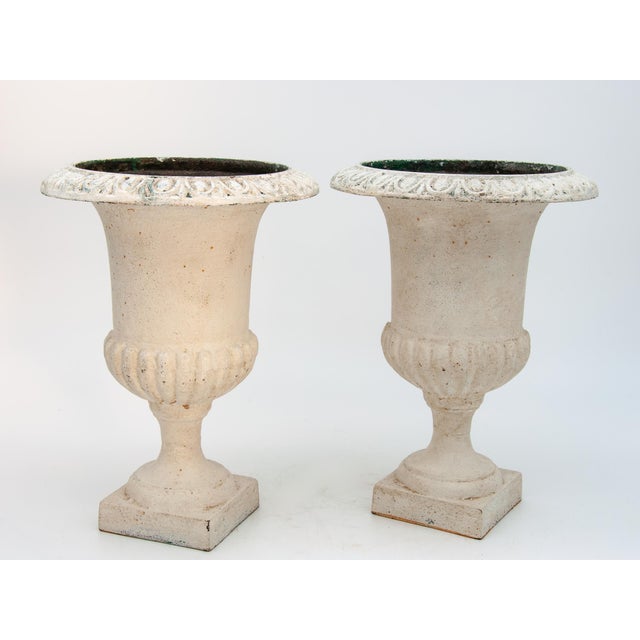French Cast Iron Petite Planters - A Pair For Sale - Image 3 of 9