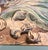 1950s Paul Morgan Gustin Seattle Pacific Northwest Signed Painting – Marine Still Life With Starfish For Sale In San Francisco - Image 6 of 12