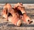 Vintage Natural Form Ceramic Bookends For Sale - Image 13 of 18