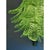 Italian Green Felci Murano Glass Chandelier Green by Simoeng for Simoeng For Sale - Image 4 of 6