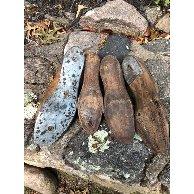 Vintage Wooden Shoe Forms - Set of 4 For Sale In Providence - Image 6 of 8