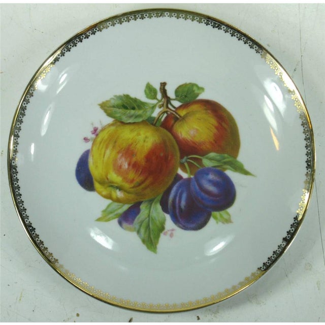 Late 19th Century Late 19th Century 3 Plates German Bavaria, Fruit Plaque, Transfer Ware, Still Life For Sale - Image 5 of 12