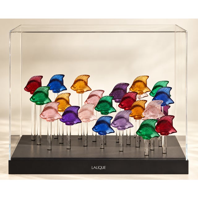 Illuminated Aquarium for 25 Fish by René Lalique for Cristal Lalique, 1912, Set of 25 For Sale - Image 6 of 6
