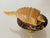 1960s Florida Iguana and Armadillo Carved Figurines Lamp Finials - a Pair For Sale - Image 4 of 4