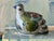 Vintage Tonala Pottery Bird Figurine Folk Art Mexican For Sale - Image 6 of 10
